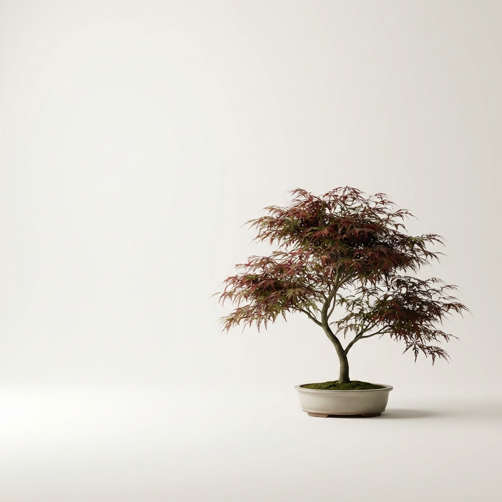 Minimalist Zen Tree